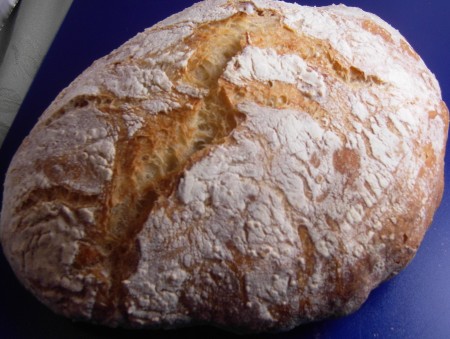 no knead