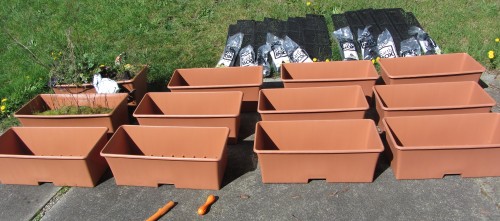 Dog toys in the foreground for size reference. I'm reminded of my dad always sticking a ruler next to stuff he'd photograph.