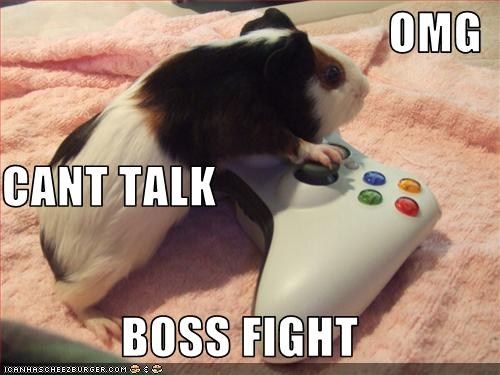 boss fight hamster
