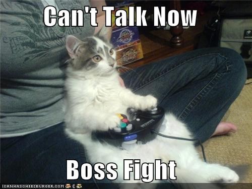 boss fight cat2