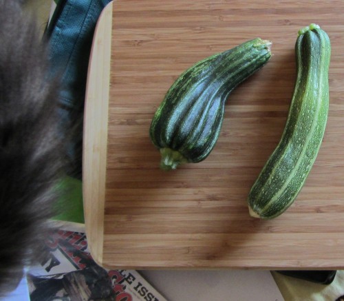 Rolling Stone for size reference. Feline tail in the foreground.