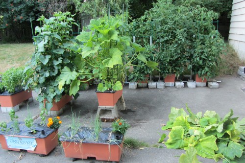 071313 postcut overview