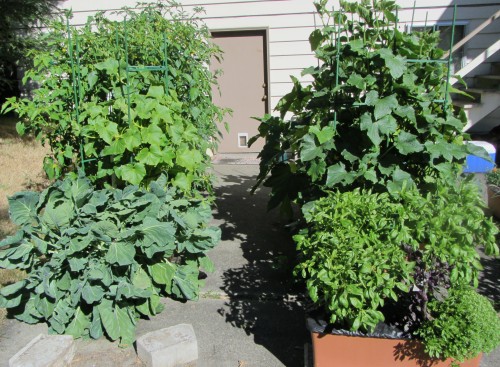 071313 overview front