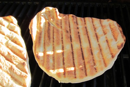 I need to remember to bring the light diffuser outside for these photos.