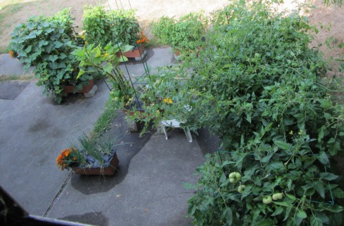 We conclude with something completely different.