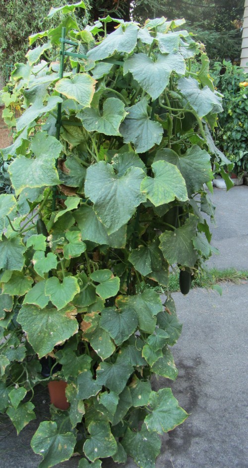 The whole box is listing to the right a little bit. September 2.