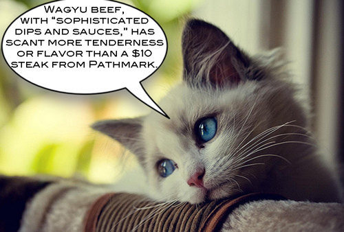 Oh, what could have been. Perhaps this cat should have just ordered the fish.