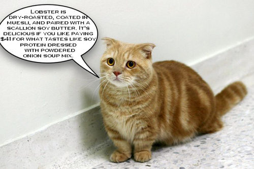 My personal favorite. That is exactly what I would look like if someone ruined a $41 lobster dish and served it to me.