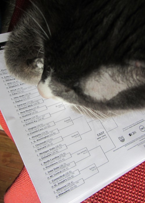 140327 boy cat tourney