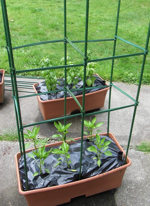 140525 ultomato installed