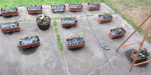 150511 top rear view