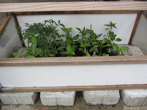 150505 Cold Frame