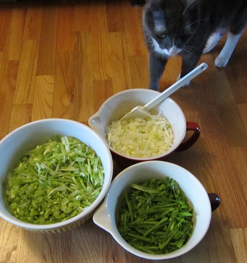 160417 processed bunch onion