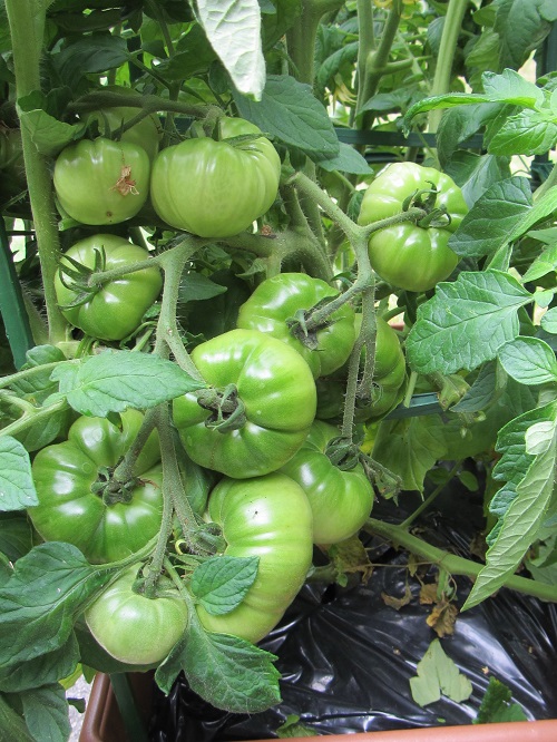 160710 oregon spring