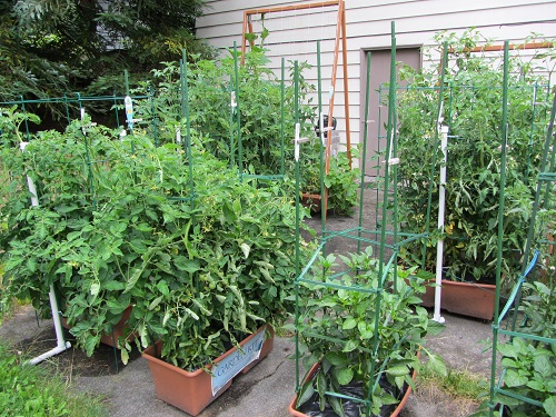 160710 second overview