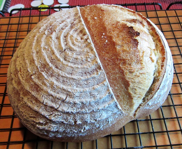 170111 Pain Rustique