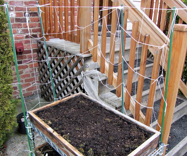 170303 trellis salad table