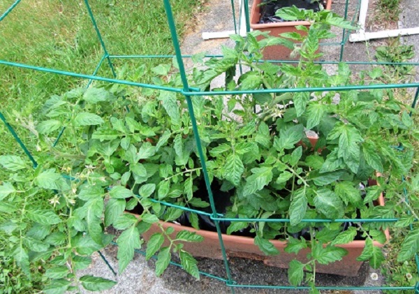 170611 oregon spring