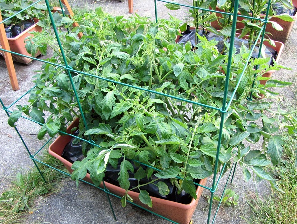 170625 oregon spring