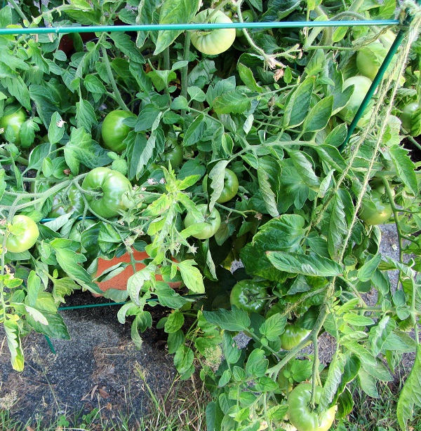 170730 oregon spring