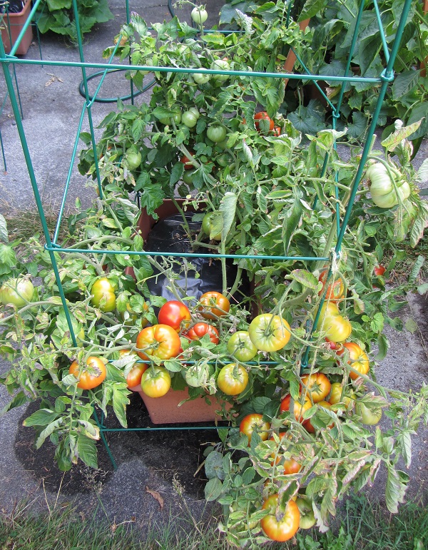 170820 oregon spring front