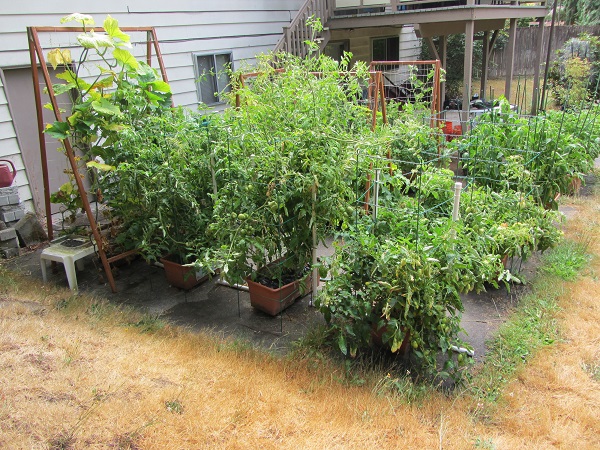 170813 overview before