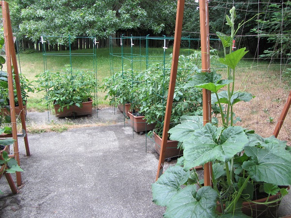 190622 reverse overview