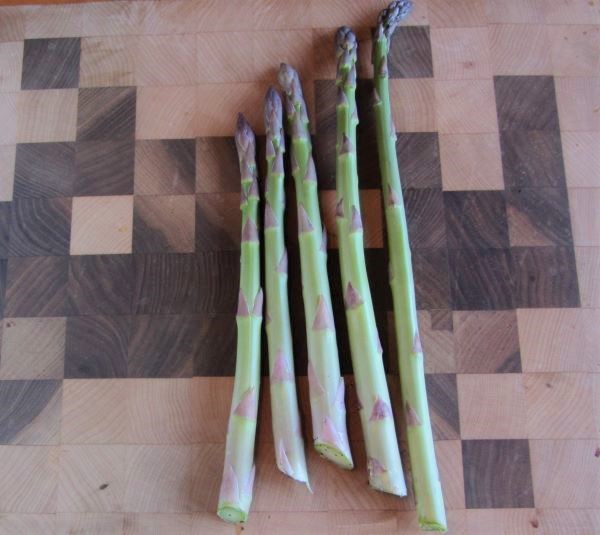 200412 asparagus